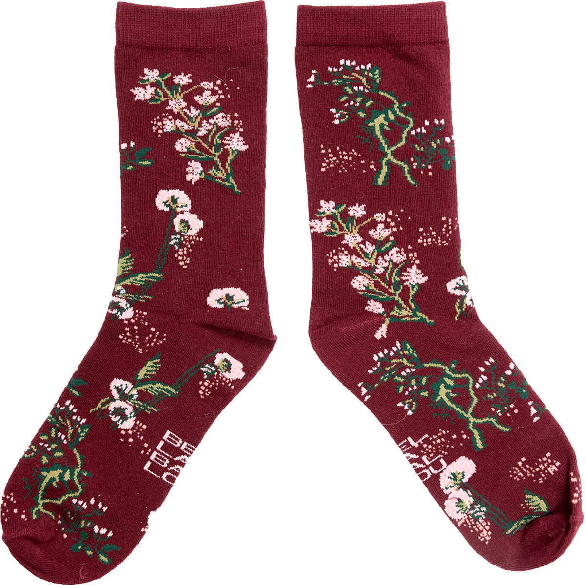BLOOM Socks