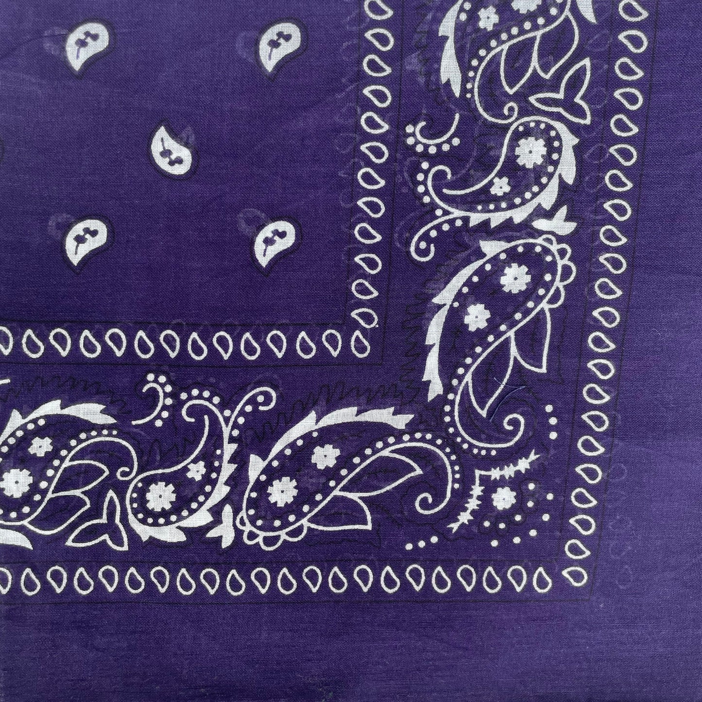 FILUCA Bandana Scarf