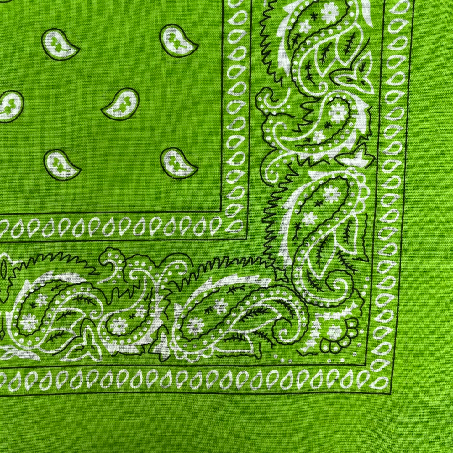 FILUCA Bandana Scarf