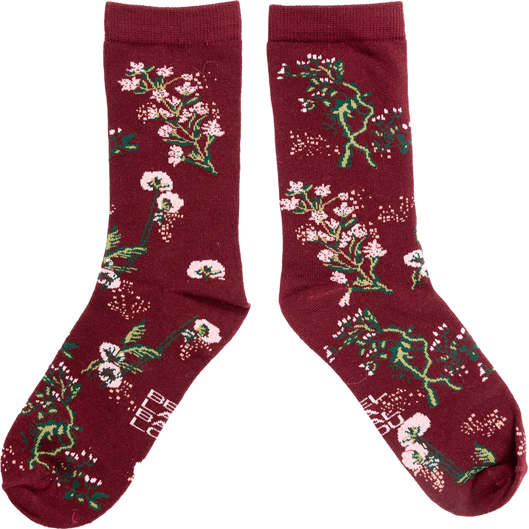 BLOOM Socks